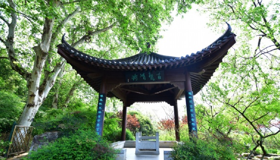 明珠社区:寒假班开课啦!【太阳成tyc7111cc】(图1) 太阳成tyc7111cc