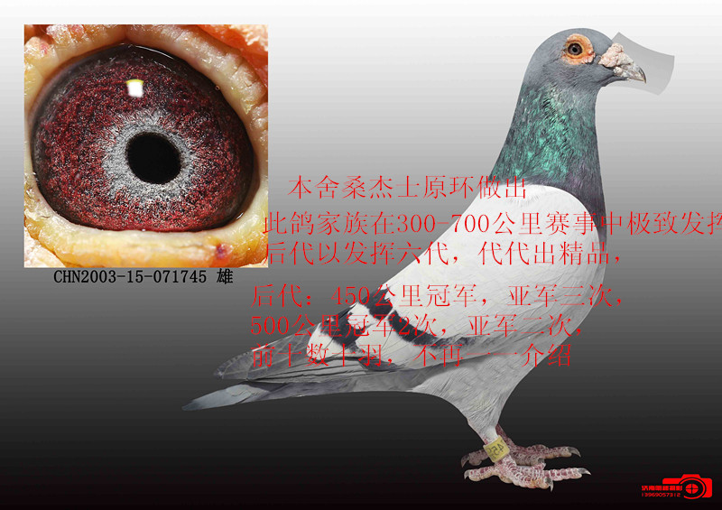 tyc7111cc太阳成集团