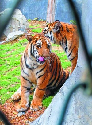 tyc7111cc太阳成集团