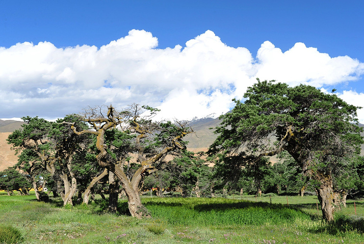 太阳成tyc7111cc官网