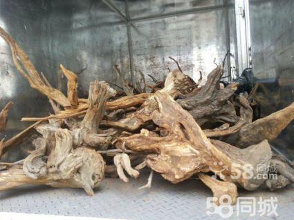 tyc7111cc太阳成集团