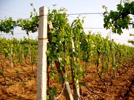 太阳成tyc7111cc官网