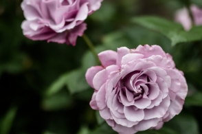 tyc7111cc太阳成集团