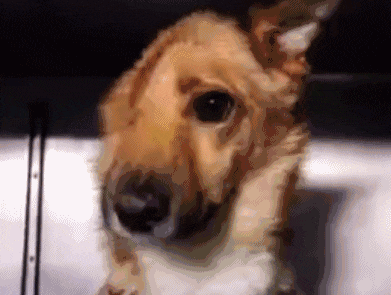 太阳成tyc7111cc官网