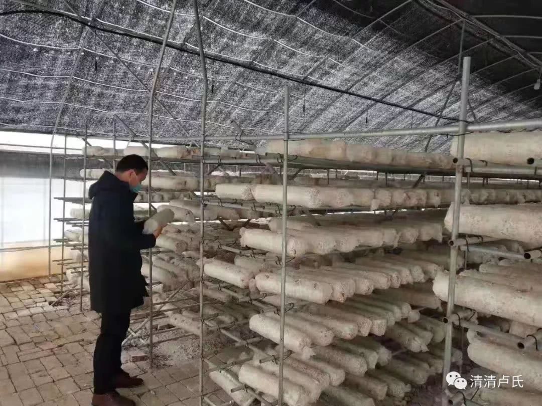 太阳成tyc7111cc-甘肃泾川地域偏僻关注度低 佛宝圣地邀学者多建言(图1) 太阳成tyc7111cc