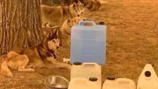 tyc7111cc太阳成集团_府西社区:春节前夕慰问困难党员(图3) 太阳成tyc7111cc官网