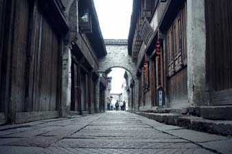 ‘太阳成tyc7111cc官网’罗桐社区:观看学习《平“语”近人》系列节目(图1) 太阳成tyc7111cc官网